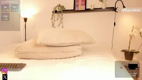 starcollenss webcam stripchat model stream image