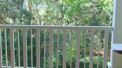 yooualll webcam model stream image