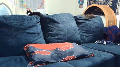 turquoisen webcam model stream image