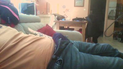 mouette webcam model stream image