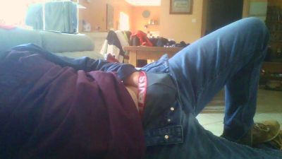 mouette webcam model stream image