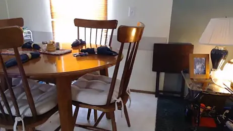OGmailKnows webcam model stream image