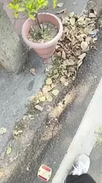 xyz_2giT webcam model stream image