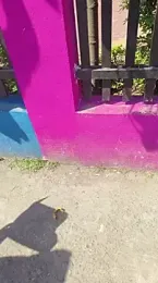 xyz_2giT webcam model stream image