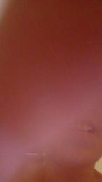 PETITECOCHO webcam model stream image