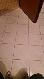 navigante webcam model stream image