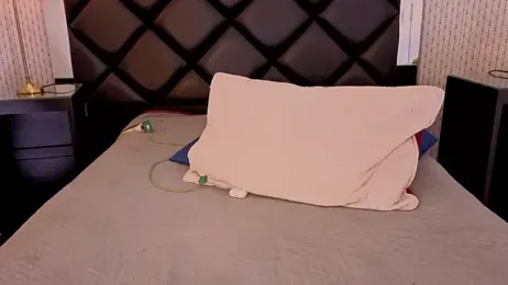 ryo_light webcam model stream image