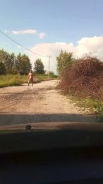 Ldblack webcam model stream image