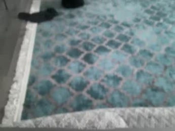 alphandre webcam model stream image