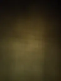 MildStem webcam model stream image