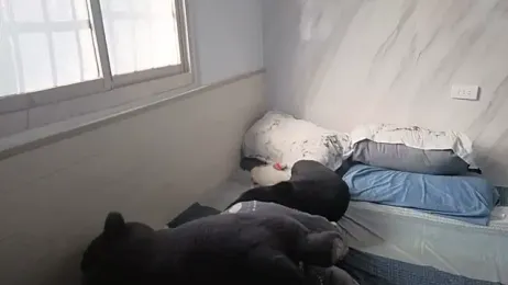 Big19Asia webcam stripchat model stream image