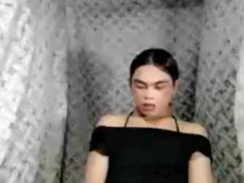 hoelyaurora webcam model stream image