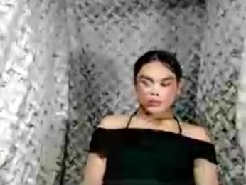 hoelyaurora webcam model stream image