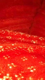 nunzia6 webcam cam4 model stream image