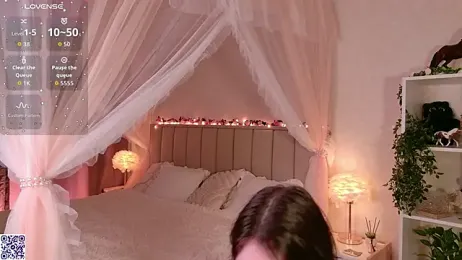 LeraKit webcam model stream image