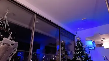 mandi4pole_ webcam model stream image