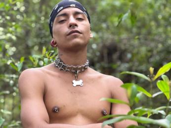 JaydenRoux webcam livejasmin model stream image