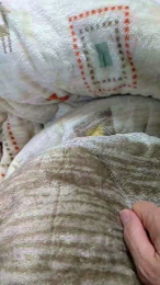 hirohiro2 webcam model stream image