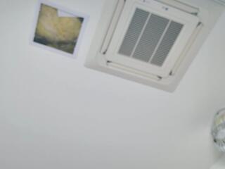 Noah Sandler webcam model stream image