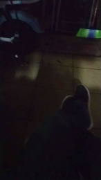 Mmmbb69 webcam model stream image