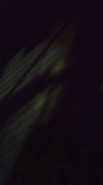 Mmmbb69 webcam model stream image