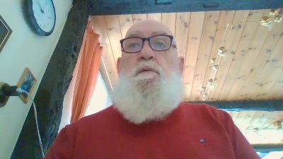 legov4 webcam model stream image