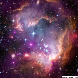 puov1 webcam model stream image