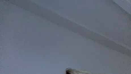 Kitty_Swetty webcam model stream image