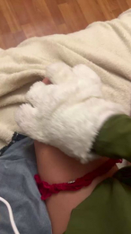 AngelinaKis webcam model stream image