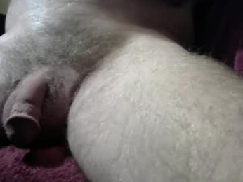 gemini_2 webcam model stream image