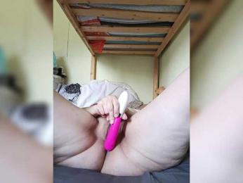 SG-310 webcam model stream image