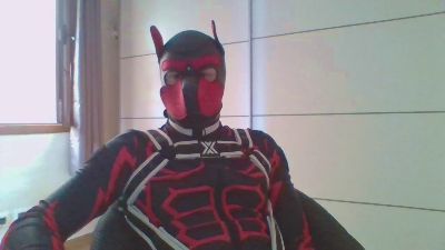 GelberBengel2ES webcam cam4 model stream image