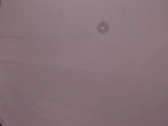 FernandaX1 webcam model stream image