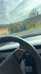 Assetge webcam model stream image