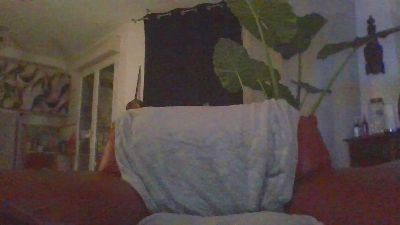 jedy66 webcam model stream image