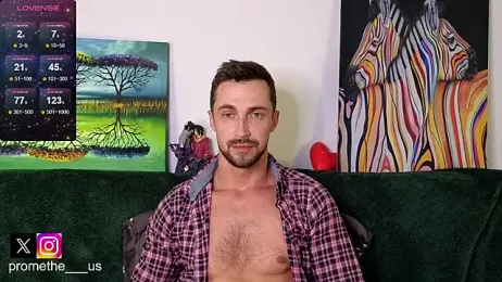 Promethe_us webcam model stream image