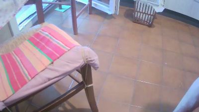 BellinoNa webcam model stream image