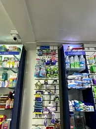 roouse webcam model stream image