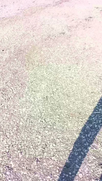 livenews1 webcam model stream image