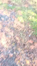 livenews1 webcam model stream image