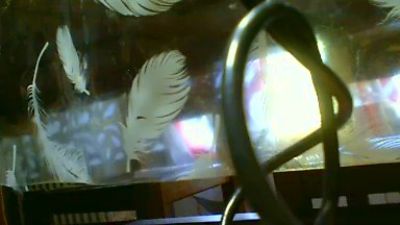 mecchauddu37 webcam cam4 model stream image