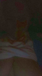 Cassandra64 webcam cam4 model stream image