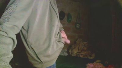 carlos9180 webcam model stream image