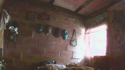 carlos9180 webcam model stream image