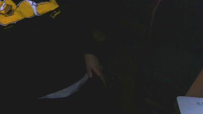 brakko2020 webcam model stream image