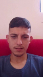 SDOlyver webcam model stream image