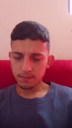 SDOlyver webcam model stream image