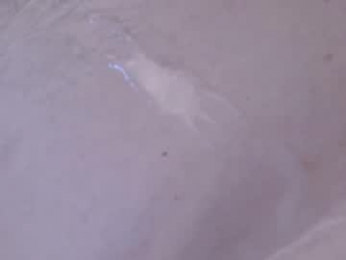 waltsobchak webcam model stream image