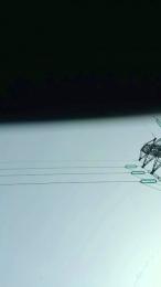 damdam57 webcam cam4 model stream image