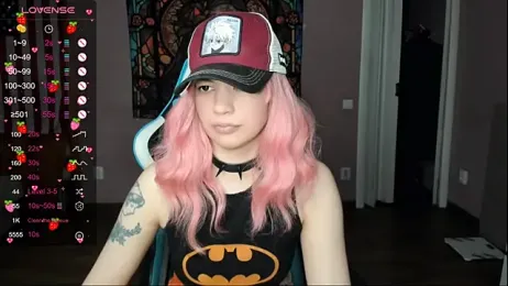 Project_hisoka webcam model stream image